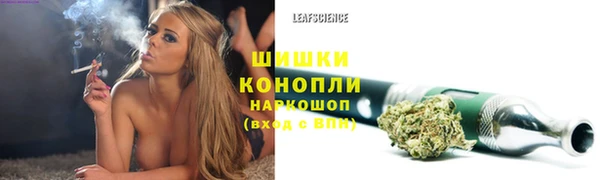 спиды Магадан
