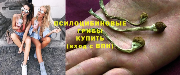ешки Магас