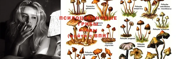 ешки Магас