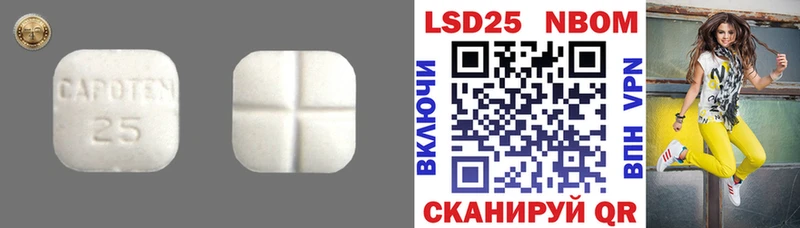 мега tor  где найти   Берёзовка  мориарти клад  ЛСД экстази кислота 